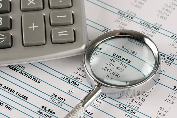 Tax Audit Support